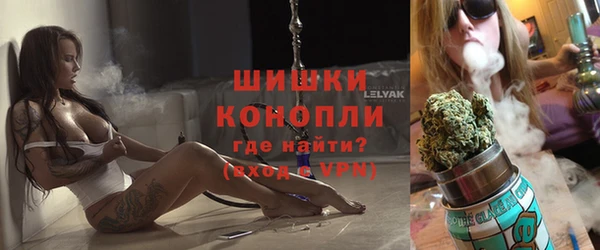 амф Аркадак