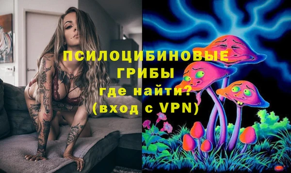 амф Аркадак