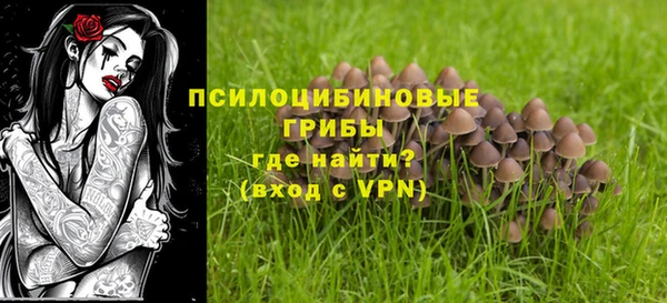 тгк Арсеньев