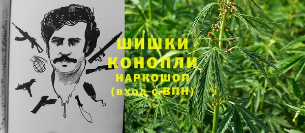 амф Аркадак